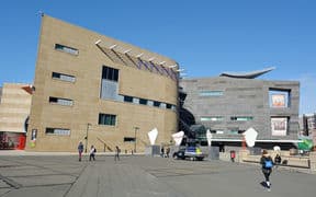 te papa