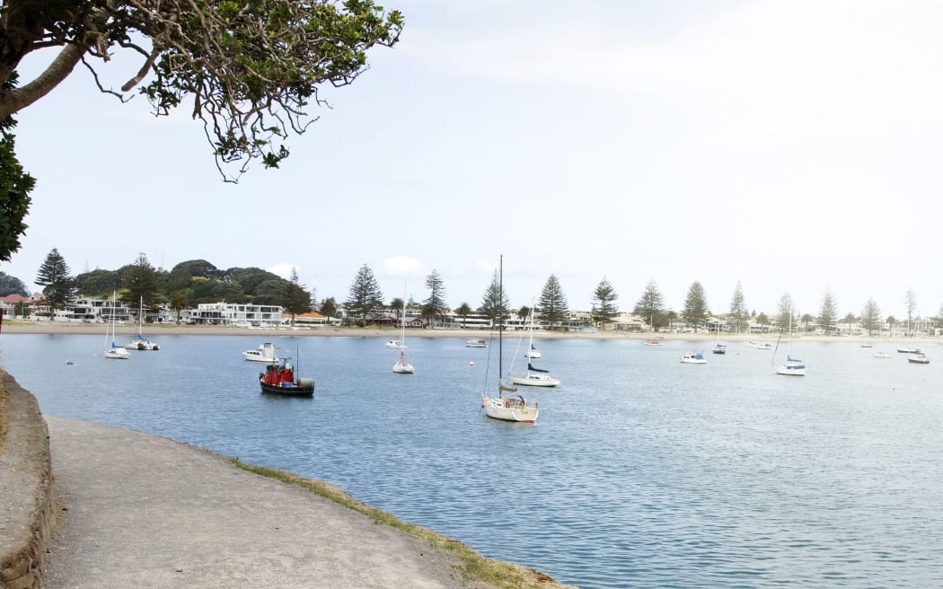 Boats moored at the bay in Tauranga.