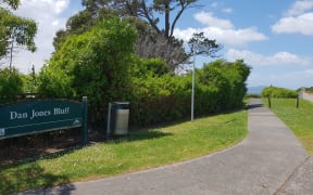 Dan Jones Bluff on the North Shore city cliff top walkway