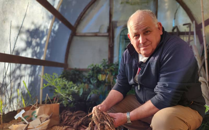 Country Life: Nick Roskruge - promoting Māori horticultural knowledge | RNZ