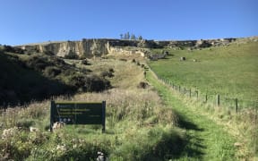 Waipata Reserve in the Waitaki Valley.