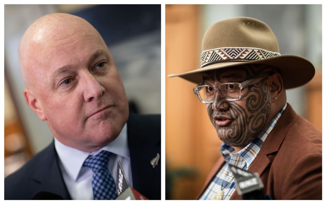 Christopher Luxon and Rawiri Waititi