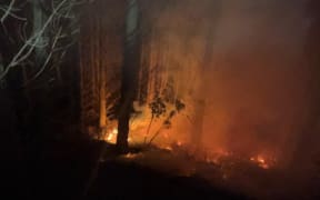 The Lismore Forest fire in fire spread under tall trees by 2am on Monday 15 December 2025. Fire crews were working to stop it moving up into the trees.