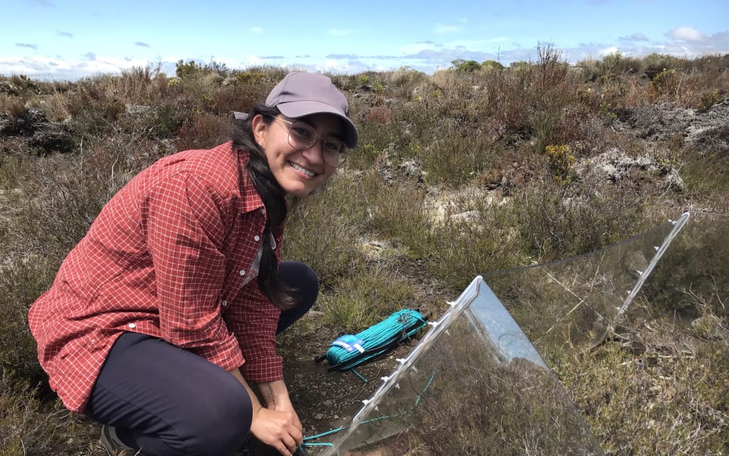 A woman in a red plaid shirt and a cap crouches next to a transparent piece of plastic that she is securing to the ground around a clump of vegetation.