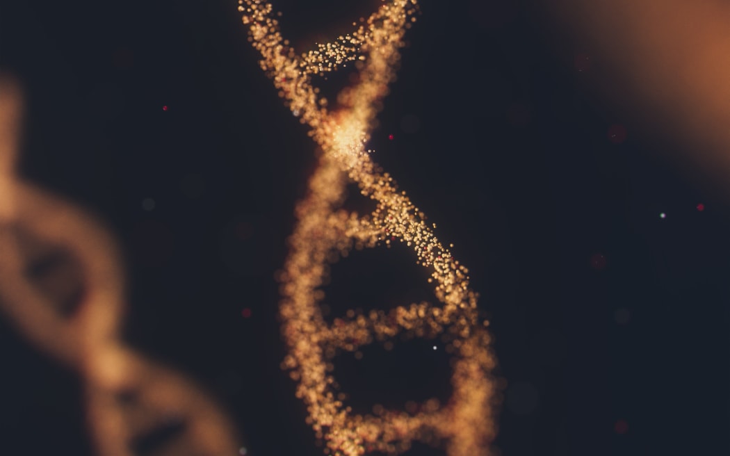 Digital rendering of a DNA helix