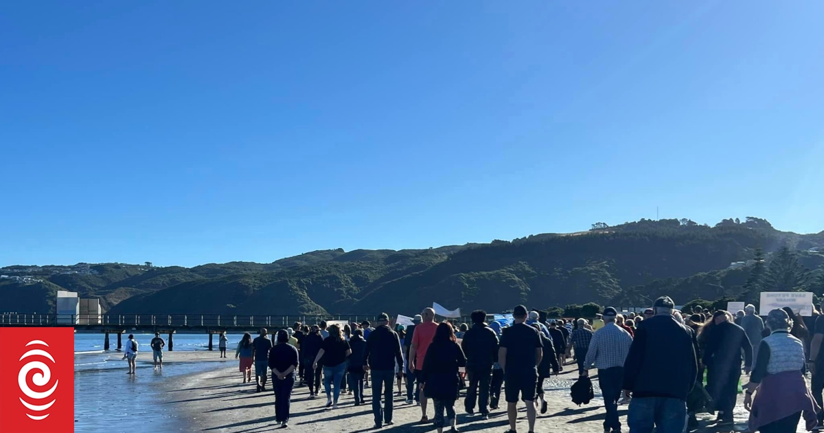 Hundreds rally to save Petone Wharf - Vimarsana News