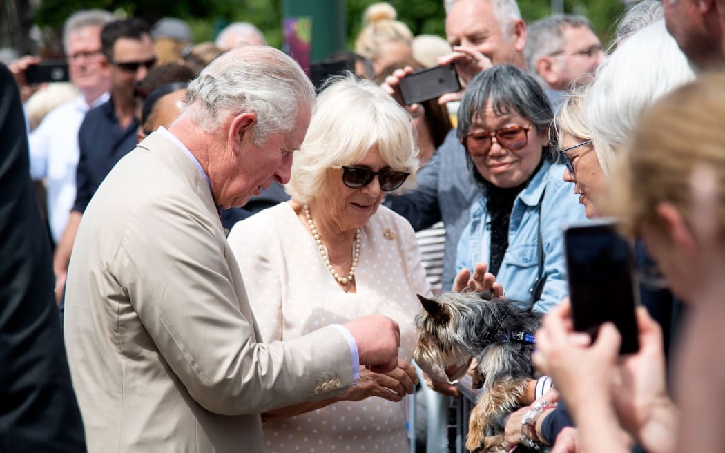 Prince Charles with Camilla pat a small dog during a walkabout in Cathedral Square in Christchurch on 22 November, 2019.