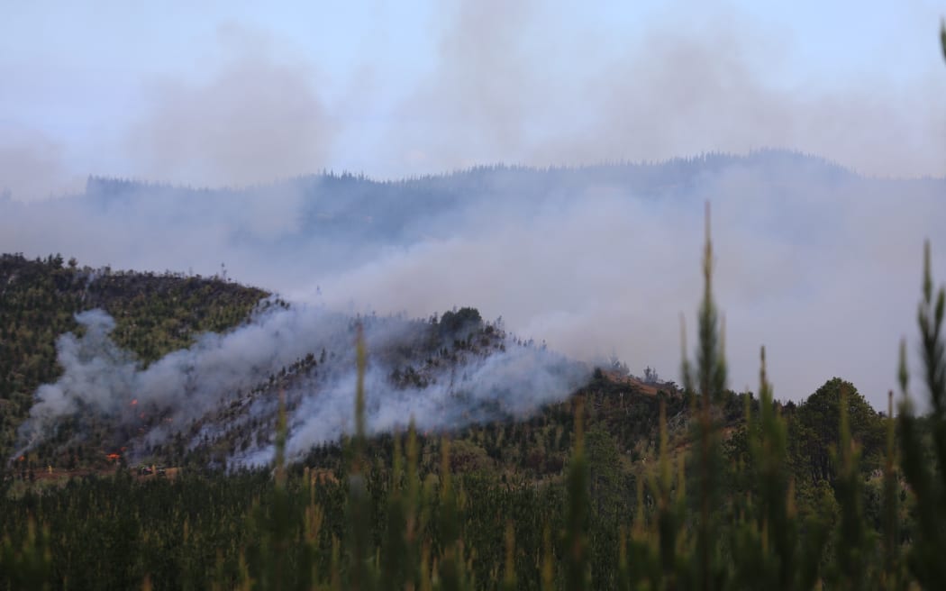 Waipoua fire