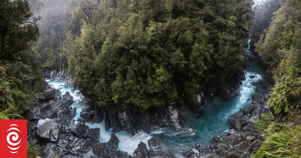 Groups call on fast-track panel to decline controversial West Coast hydro proposal