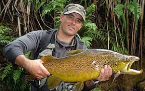 Trout