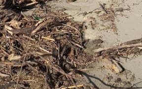 Tolaga Bay slash