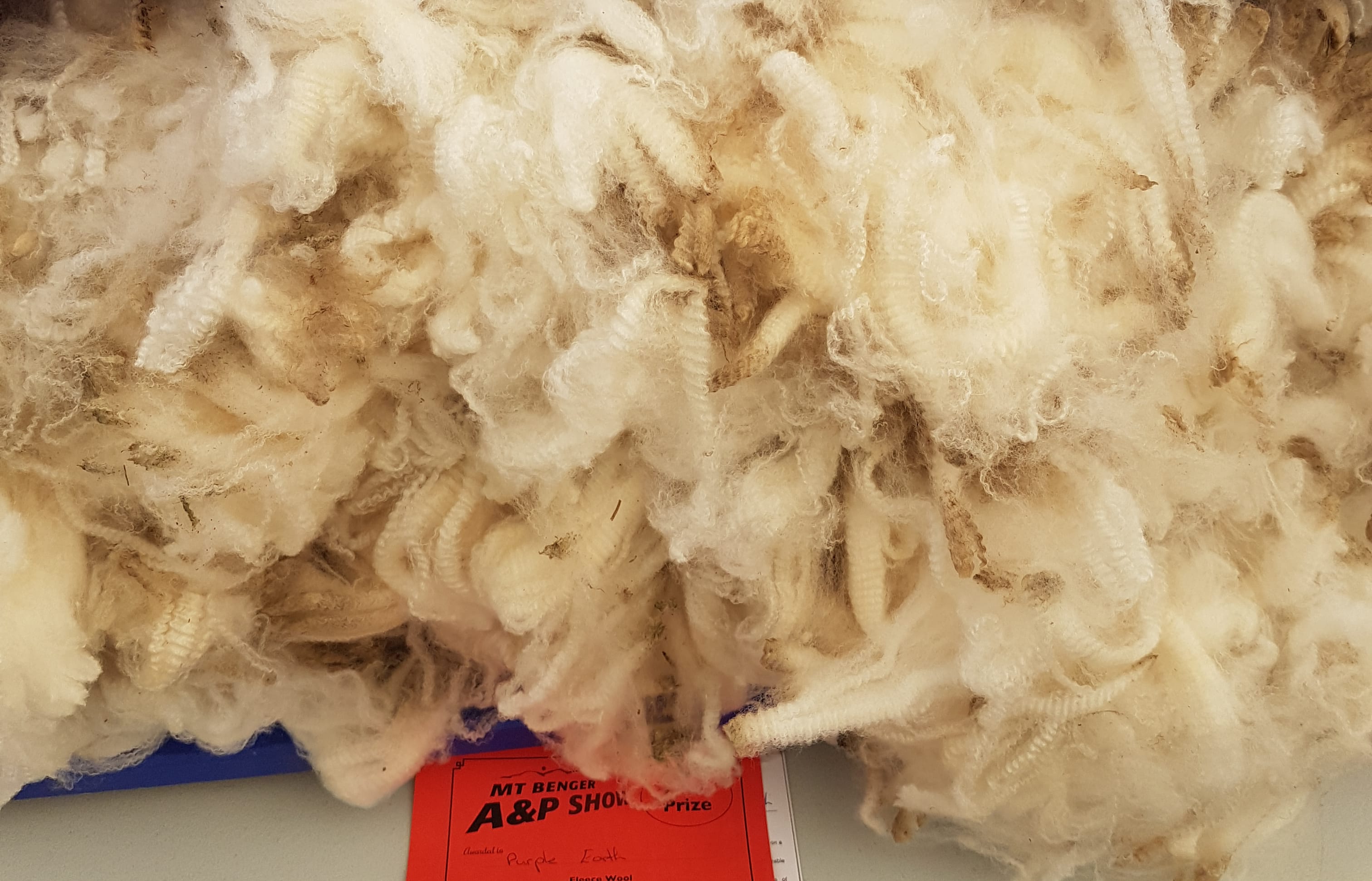 Greg Paterson's winning fleece