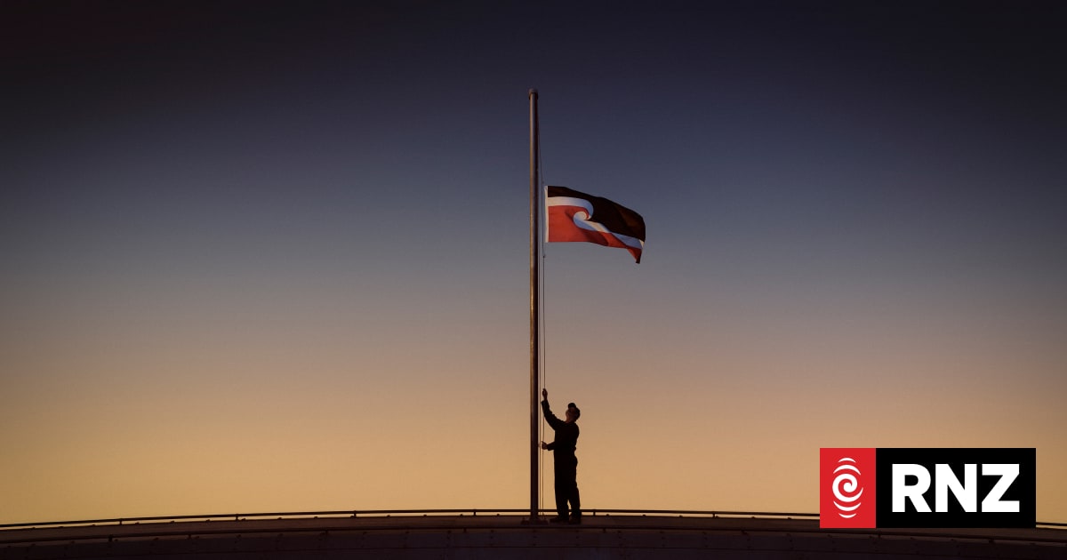 Petition calls for Tino Rangatiratanga flag to fly permanently on Auckland Harbour Bridge
