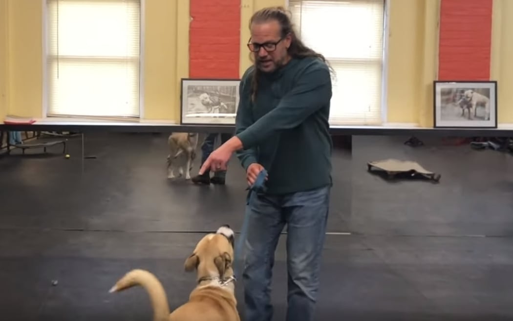 Jeff solid k9 training sales