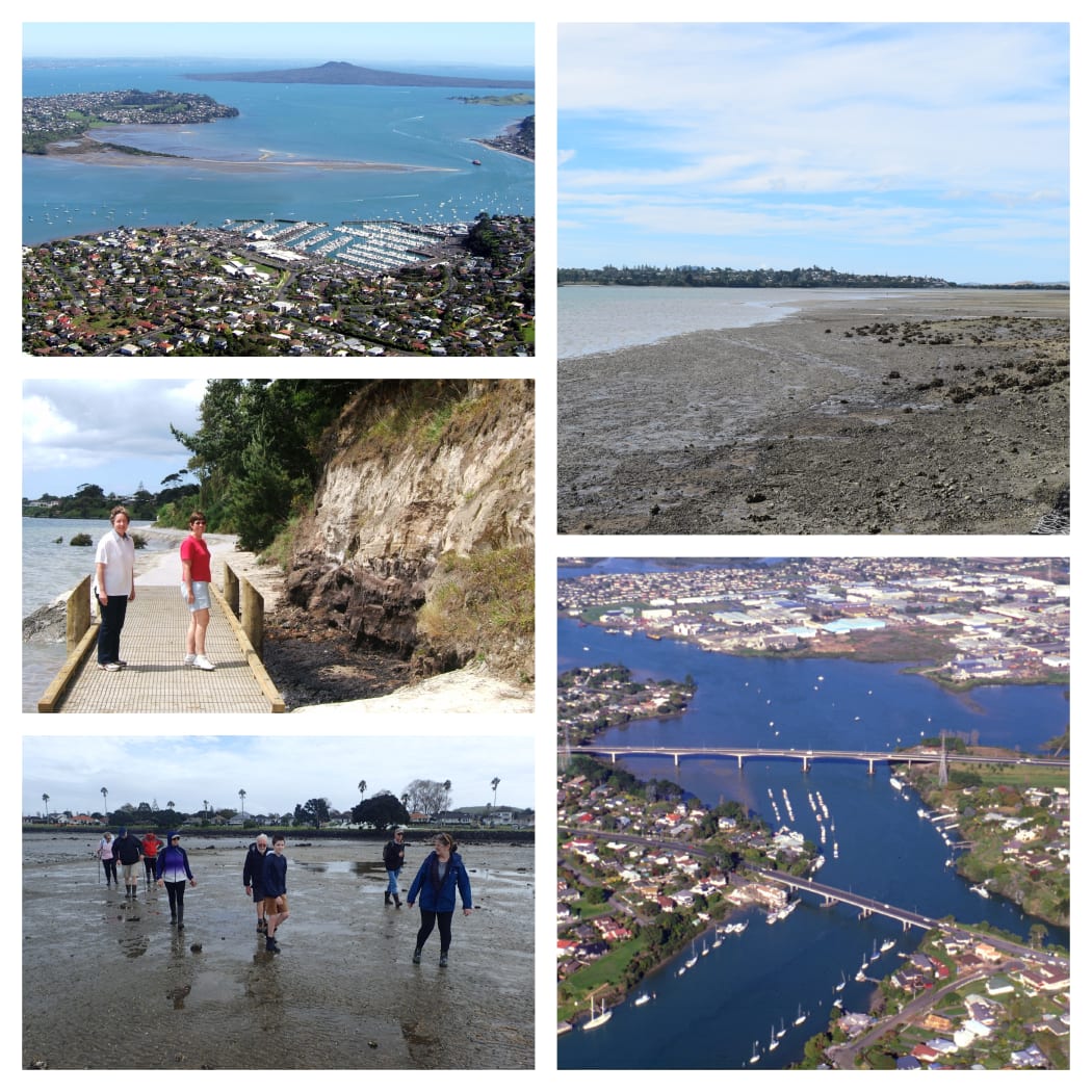 Scenes from Tamaki Estuary