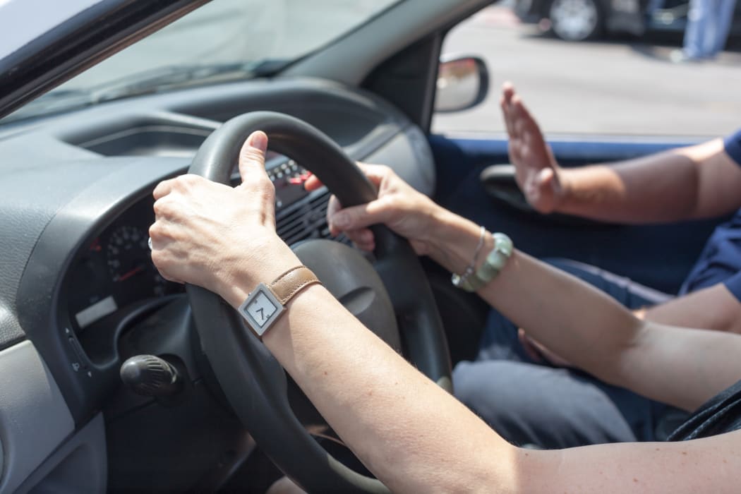 Driving school. Learning to drive a car. (File Photo)