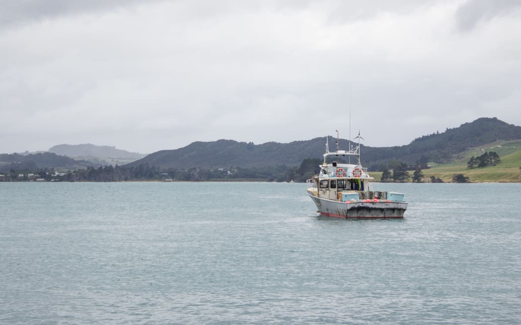 A fishing boat sits in the Hokianga Harbour