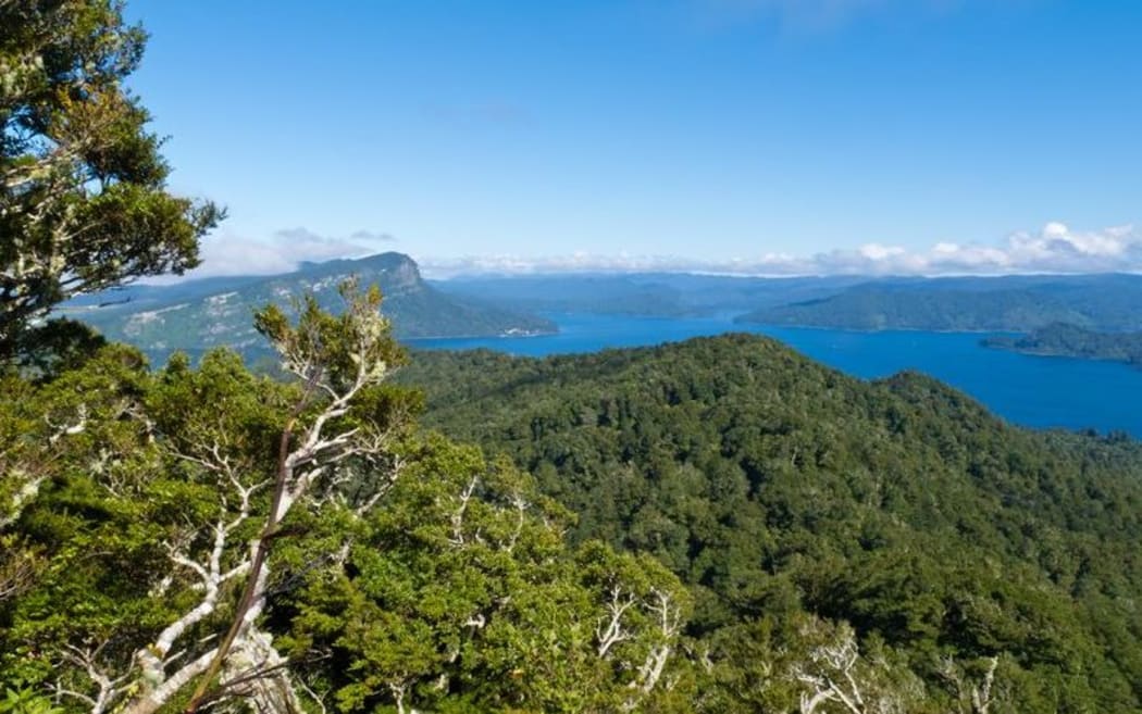 Te Urewera in the North Island.