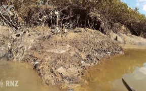 Human faeces and sanitary pads spill into Auckland creek