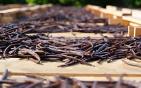 Vanilla Fruit