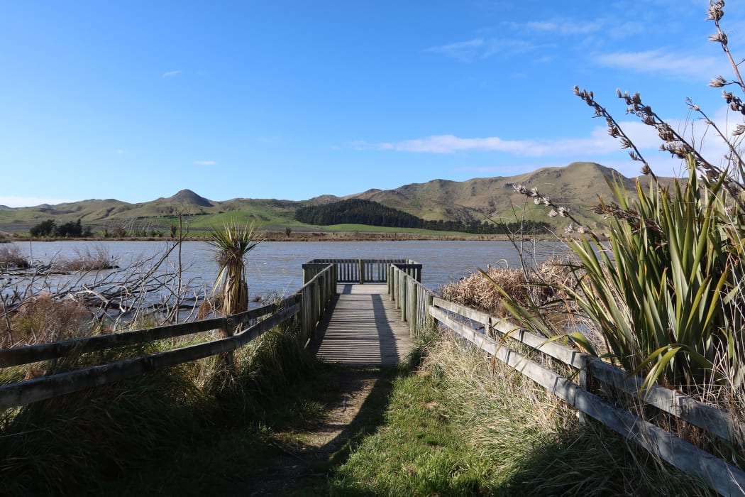 Elterwater Reserve freedom camping site, Marlborough.