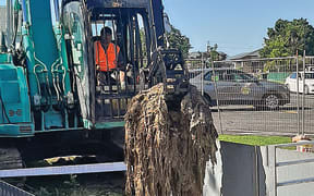 ontractors have used a claw hook attached to a digger to remove the fatburg from the Victoria Ave pump station.