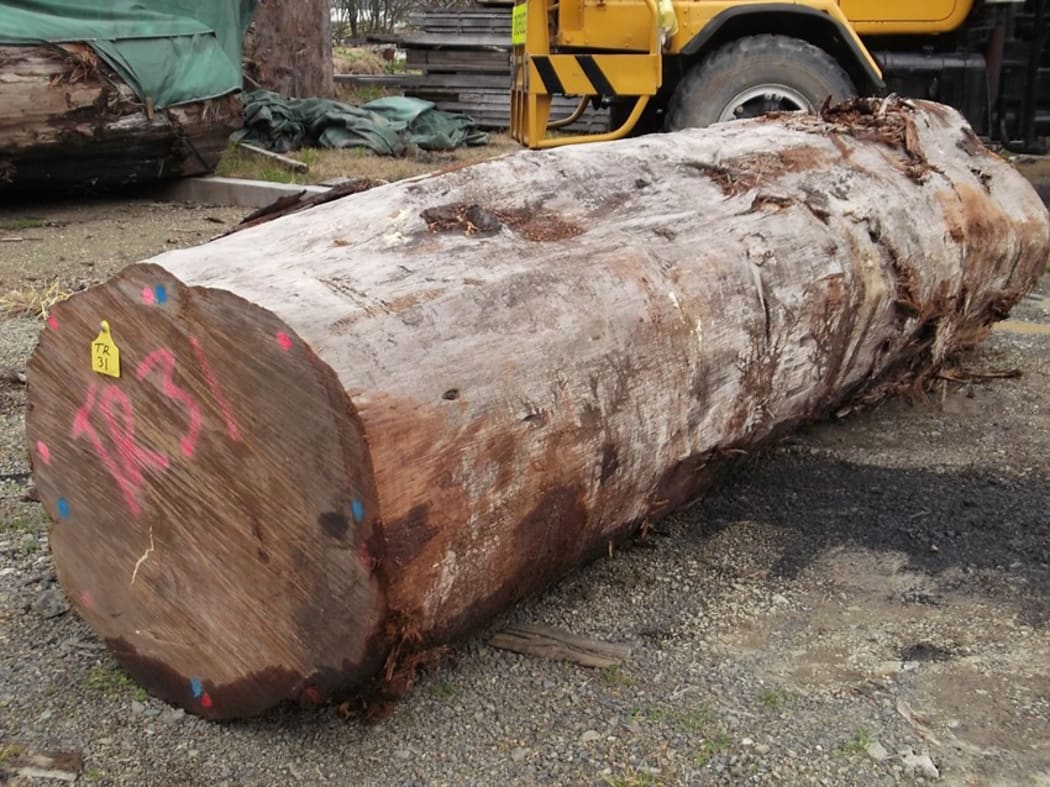 A kauri log for sale on Chinese-based website Ali Baba.