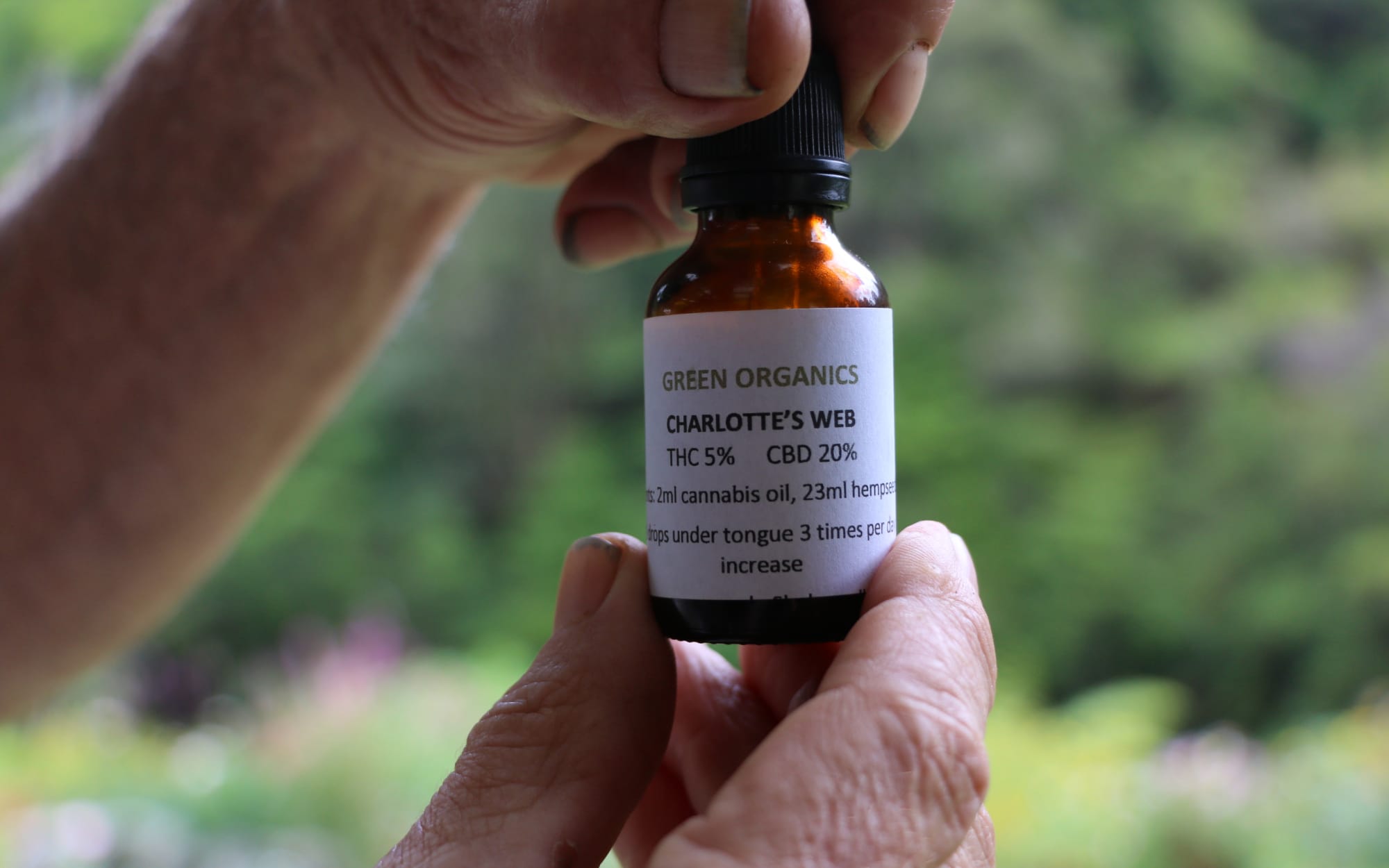 Cannabis products with a high cannabidiol (CBD) content can be used without the psychoactive effects normally associated with marijuana