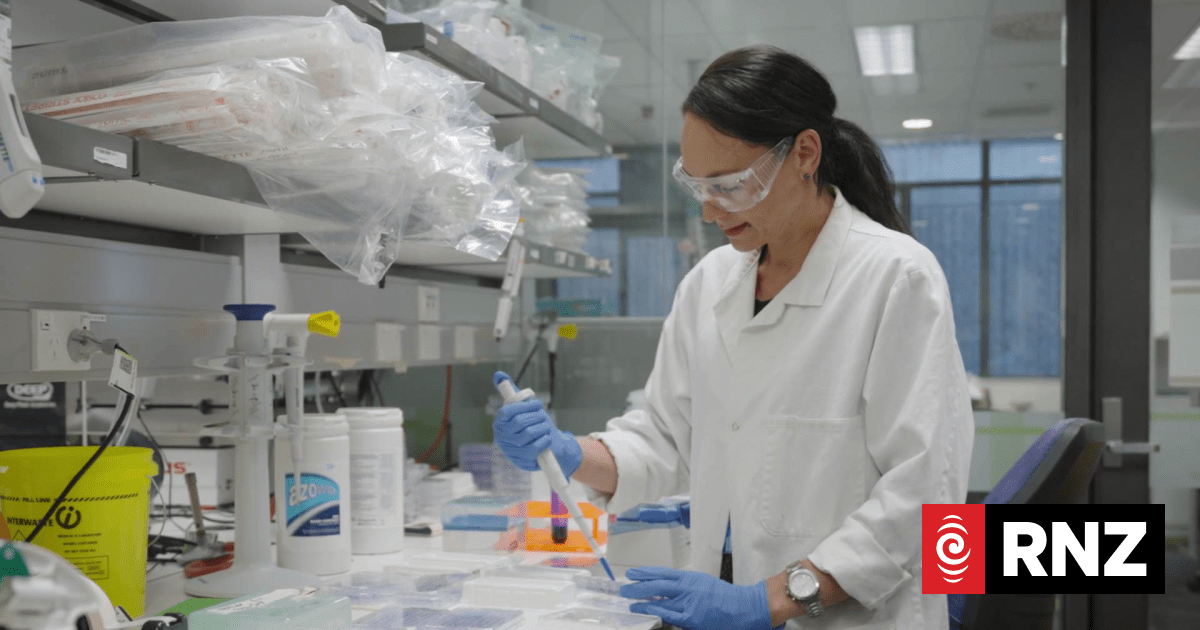 Researcher working on Samoan medicinal knowledge and virology