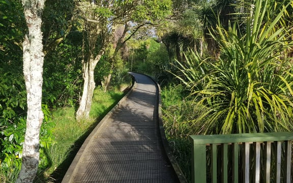Roy Clements Treeway