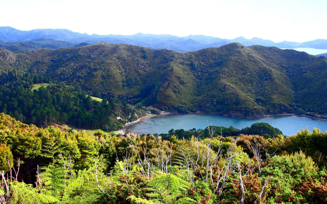 Great Barrier Island, looking down onto Orama's Bay.
