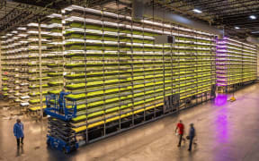 Example of vertical farming in China.