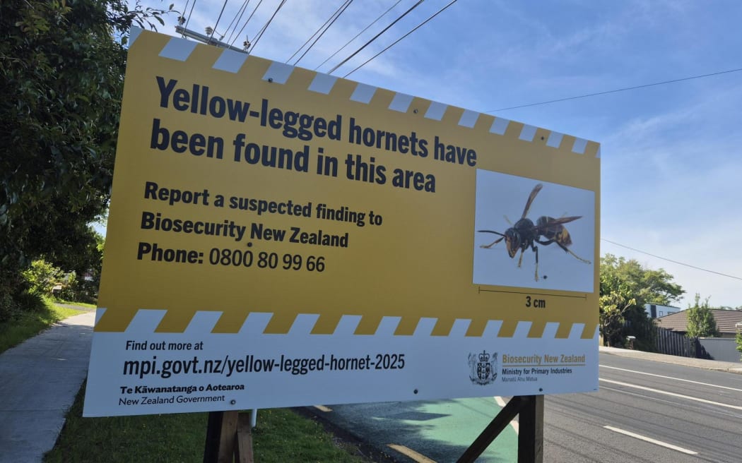 A sign warning of yellow-legged hornets on the North Shore in Auckland.