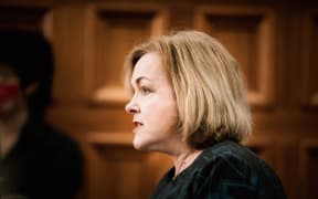 National party leader Judith Collins