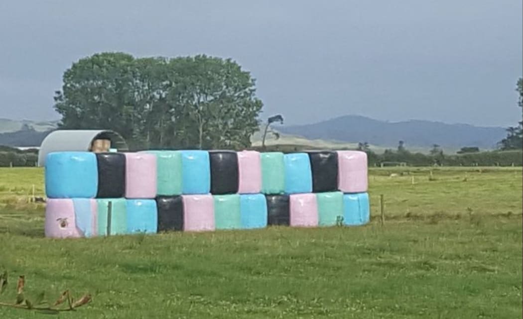 Multi coloured silage bales