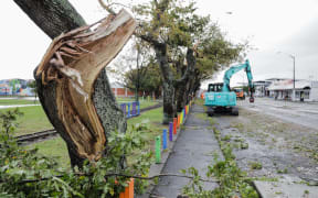 Damage caused by what locals are calling a 'mini tornado' in Levin on 20 May, 2022.