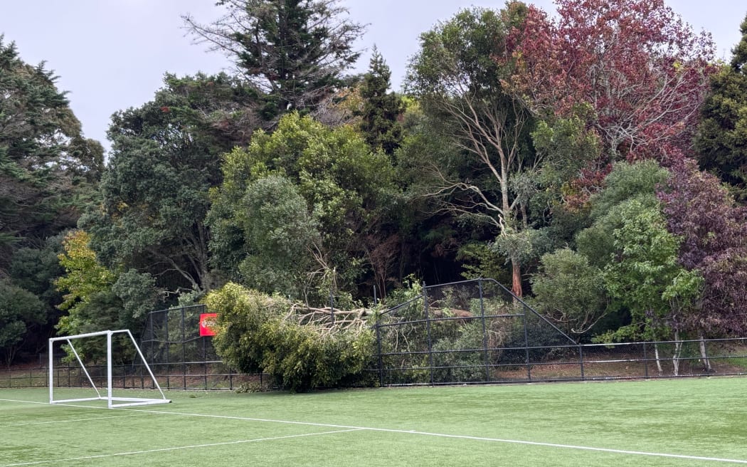Tahurangi/Crum Park, Titirangi, West Auckland