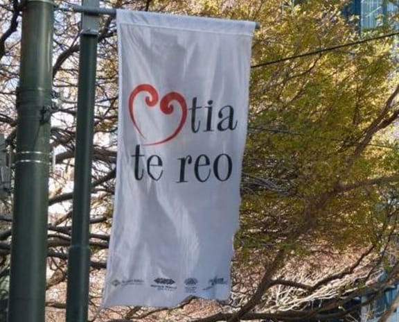 'Love the language' flags are flying in Wellington / Te Whanganui-a-Tara