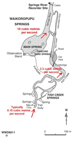 High levels of E-coli have been recorded from water flowing overland near the country's largest freshwater springs.