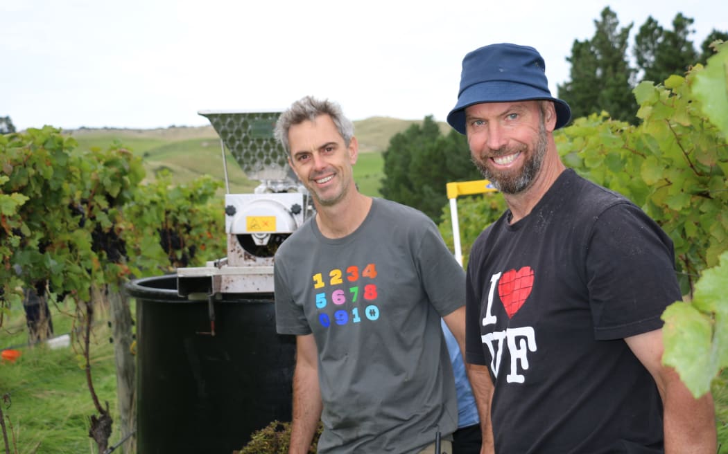 Vineyard ferment at Greystone Wines