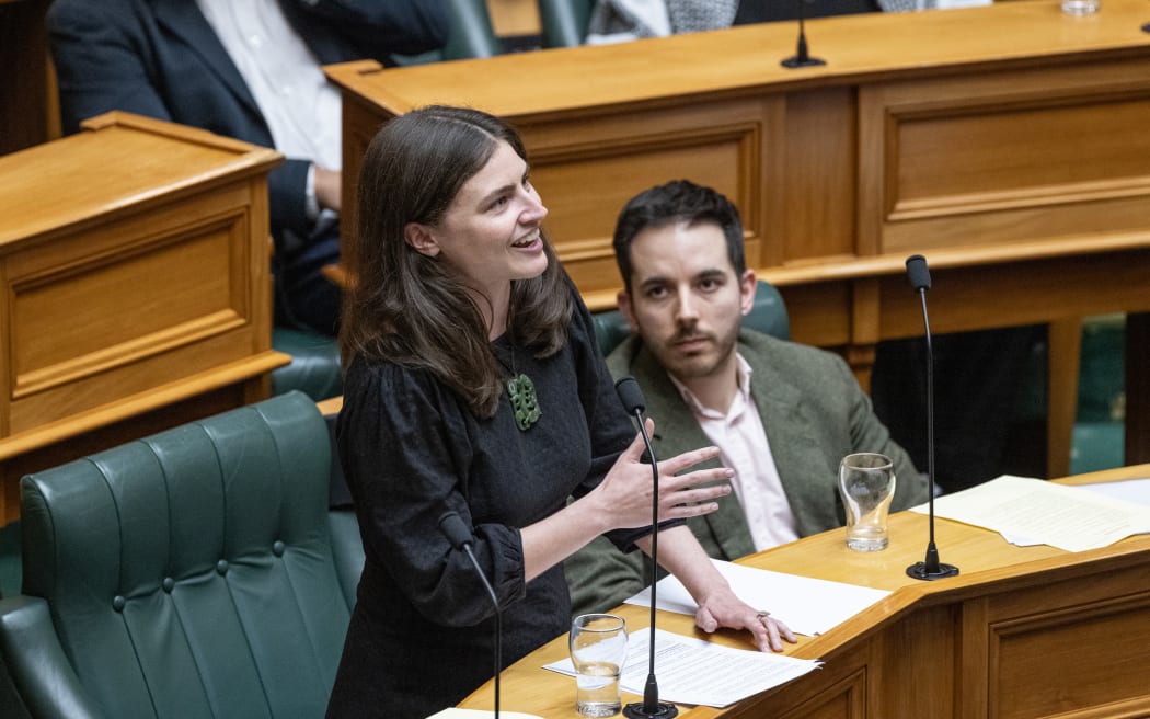 Green Party Leader Chloe Swarbrick speaks in the first reading debate for the Principles of the Treaty of Waitangi Bill.