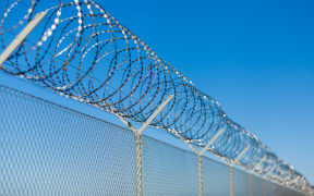 Coiled razor wire on top of a fence.
