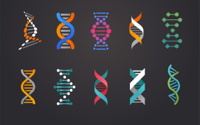 DNA genetics illustration