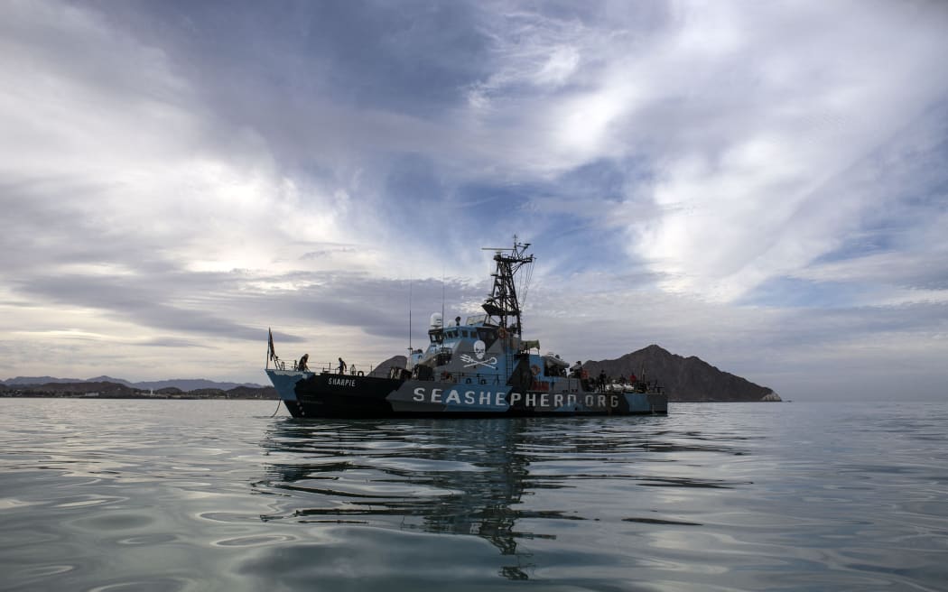 The M/V John Paul Dejoria docks at San Felipe bay, in the Gulf of California, Baja California state, northwestern Mexico, on March 7, 2018, as part of the Sea Shepherd Conservation Society's operation "Milagro IV" to save the critically endangered vaquita porpoise.