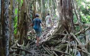 Adventure walk in Bougainville