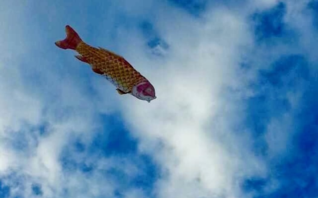 Kite flying.