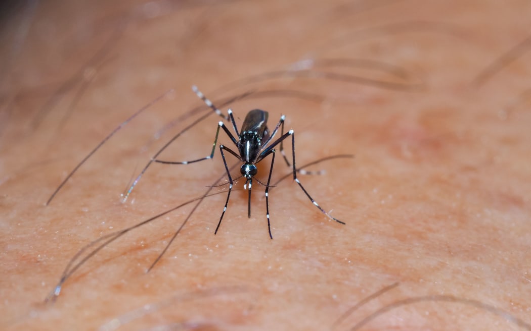 Stopping mosquito bite itch deals