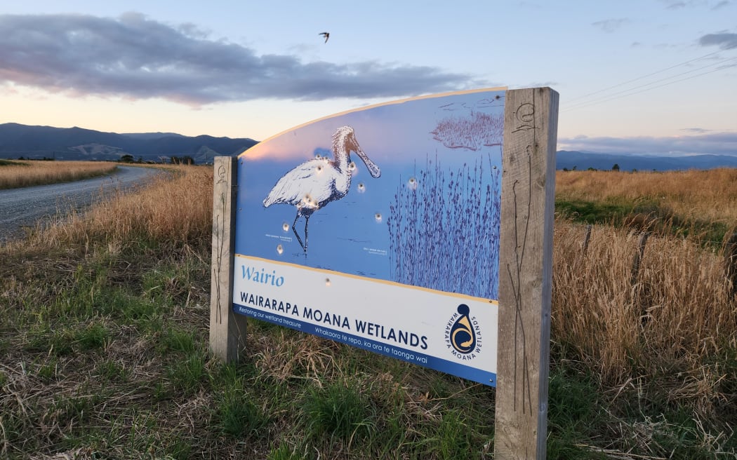The Wairarapa Moana is one of more than 2000 internationally important wetlands worldwide and gained Ramsar status in 2020.