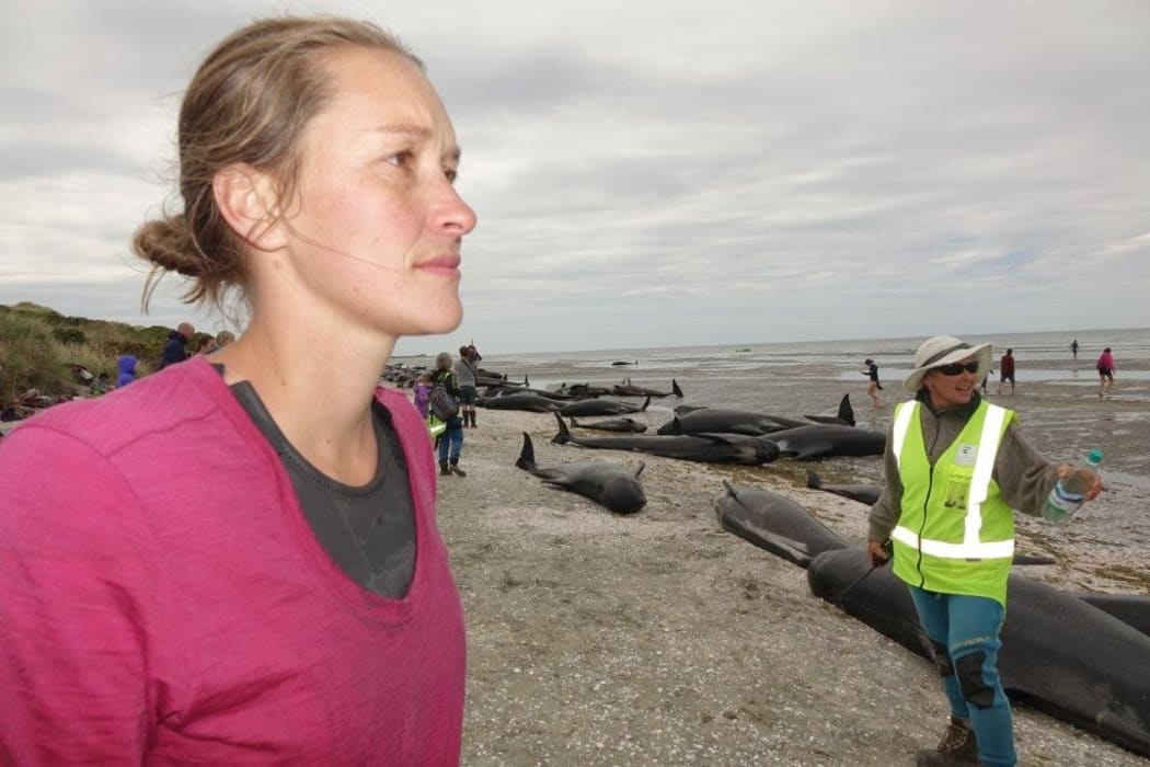 Bridie Griffiths whale stranding Golden Bay