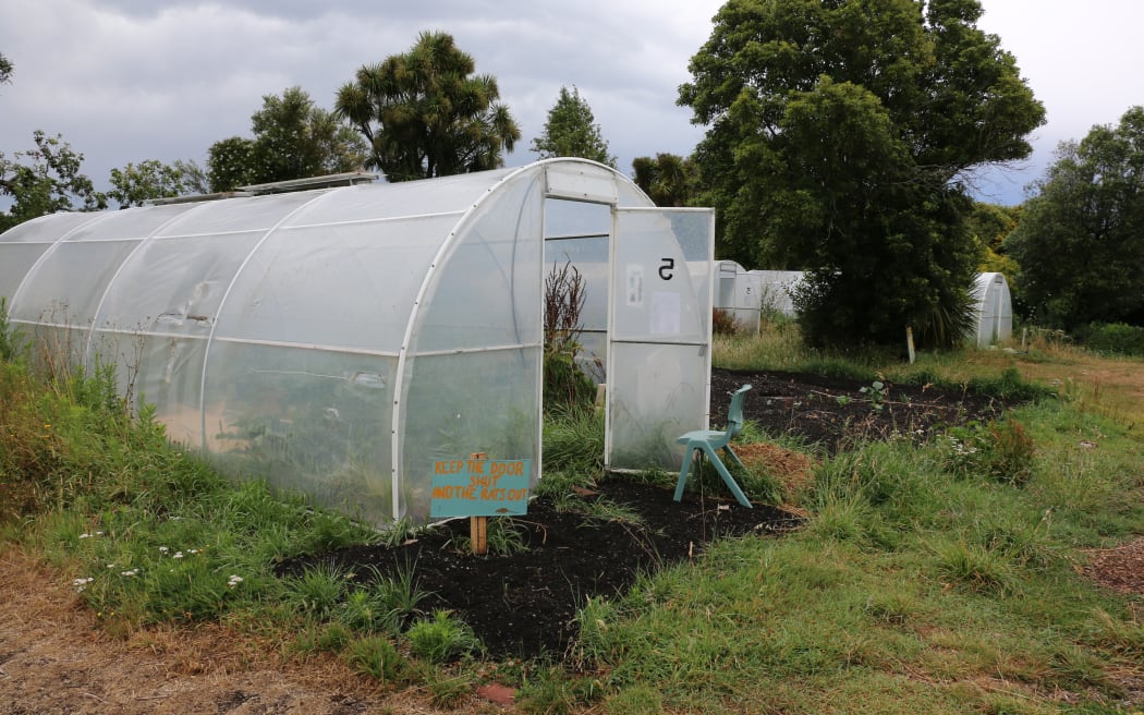 Green learning hub grows on red zone land RNZ